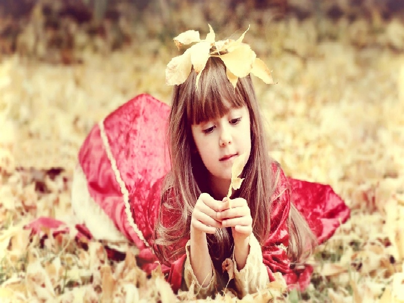 泰国的dbn试管,马铃薯试管移栽技术